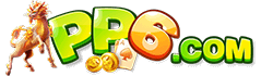 pp6.com